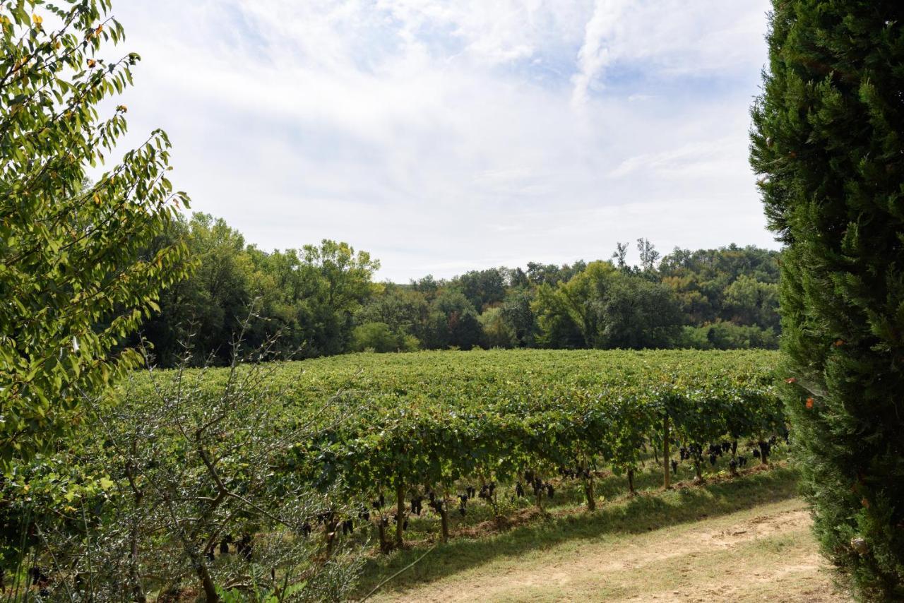 Il Molinaccio Di Montepulciano Villa Exteriör bild